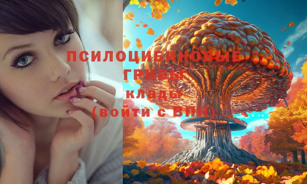 круглые Михайлов